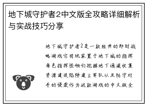地下城守护者2中文版全攻略详细解析与实战技巧分享