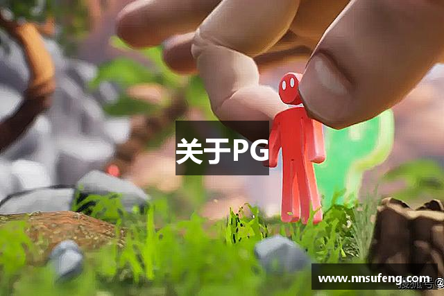 关于PG